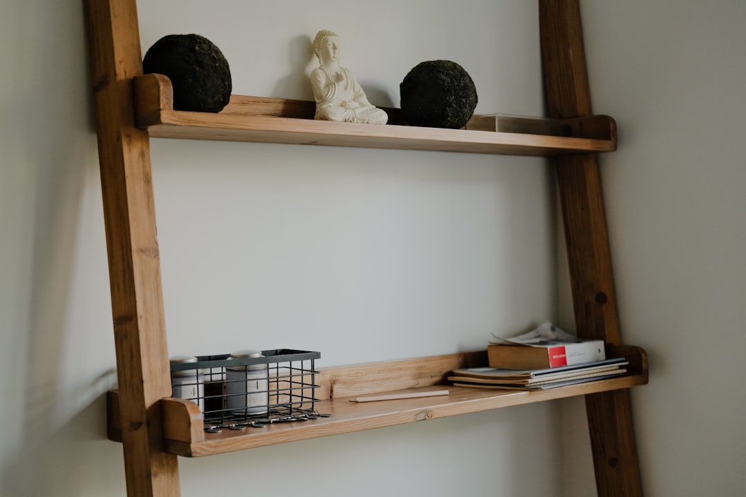organized minimalist shelving unit