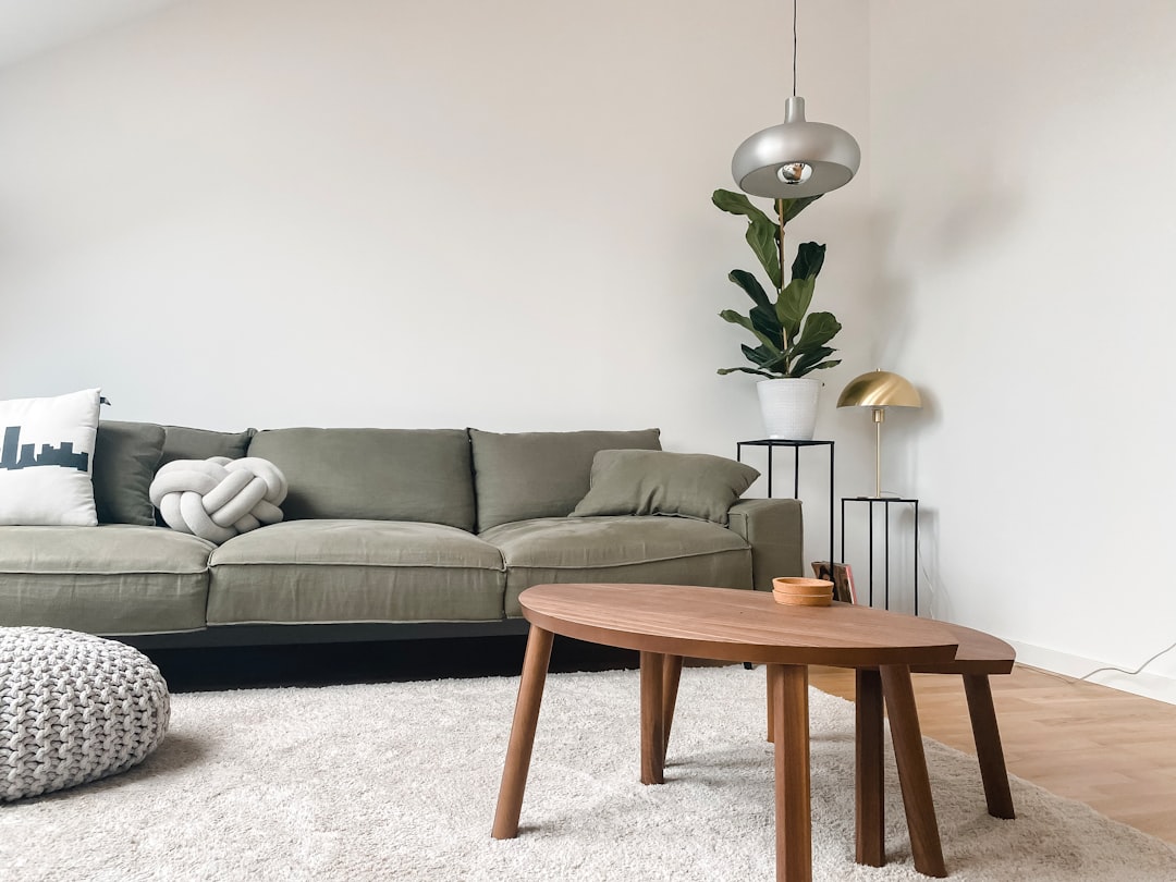 apartment organized minimal space