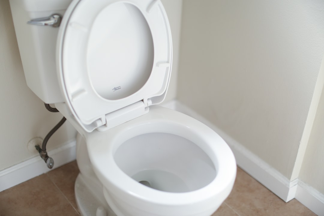 toilet cleaning minimal
